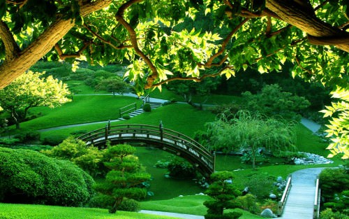 wonderful green garden photo hd