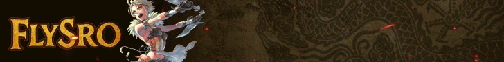 FLYSRO ONLINE BANNER